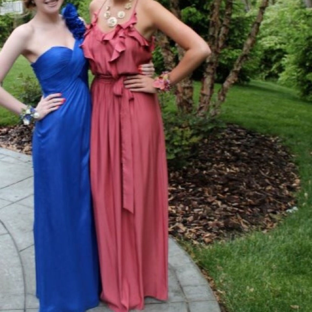 Dusty Rose Rebecca Taylor Maxi Dress